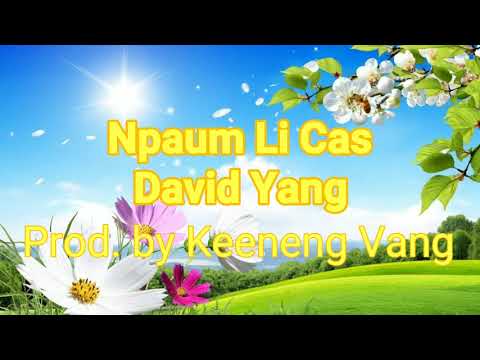 Npaum Li Cas - David Yang (Prod. Keeneng Vang)