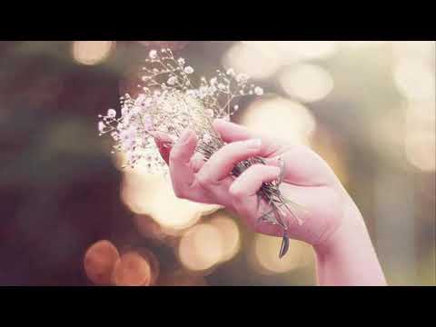 Romance 4 - Tấn Minh