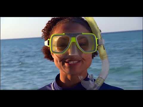 Barney's Barrier Reef - S01E09