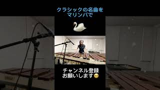 Download lagu クラシックをマリンバで。　白鳥:サン=サーンス/The swan #shorts mp3