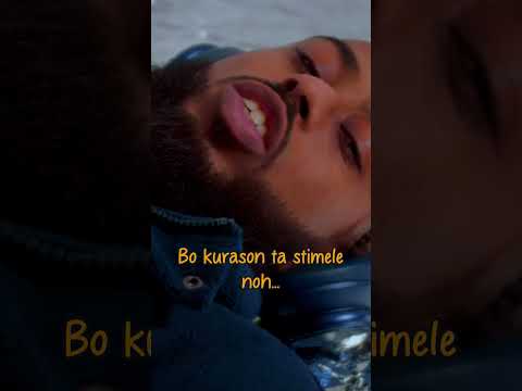 This melody is addicting #2024music #pasotakevv #noë #papiamentu #applemusic