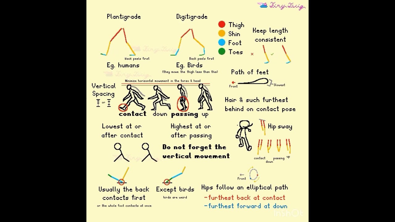 Biped Walk Cycle Tutorial - Animation Tutorial- CORRECTED #animation #animationmeme #art