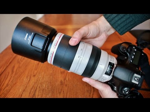 Canon EF 100-400mm f/4.5-5.6 IS USM 'L' 'ii' lens review with samples (Full-frame and APS-C)