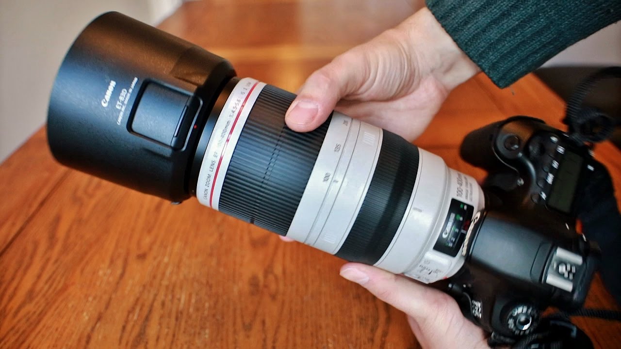 Canon EF 100-400mm f/4.5-5.6 IS USM L ii lens review with samples – 含一代二代對比