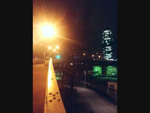 DNP LuginA ft.Mad Lion & ZH - Gott isch gross