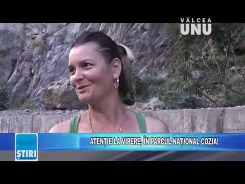 STIRILE TV VALCEA UNU - MIERCURI 19.06.2019