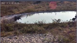 Thumbnail del capítulo