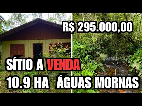 SÍTIO EM ÁGUAS MORNAS -SC | 10.9 HECTARES | RIACHO | NASCENTE | R$ 295 MIL