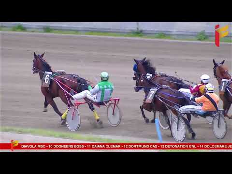 VII Corsa del 5 Aprile 2023 - 4 Anni - Metri 2000