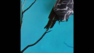 Tangents - Stateless (2016) Full Album