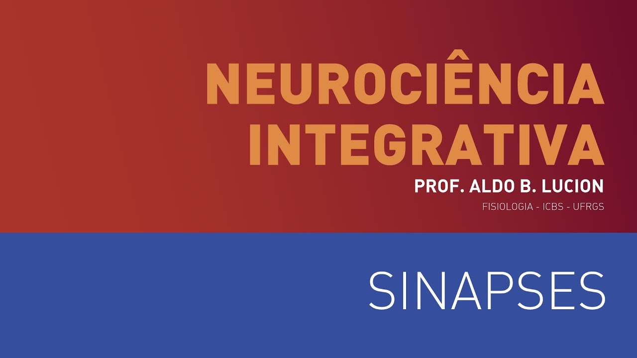 Sinapse – Aula 2