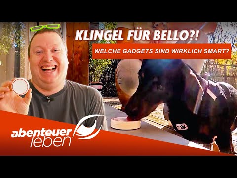 5 Smart Home Gadgets Under €70 — Worth It? | Abenteuer Leben (Kabel 1)