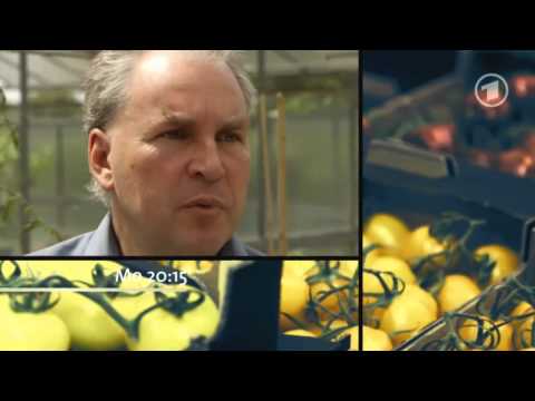 Lebensmittel-Check mit Tim Mälzer - Wie gut ist unser Gemüse?