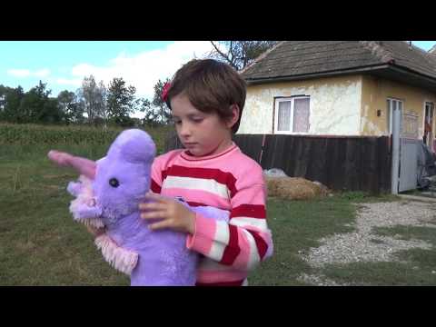 Lunca Marcusului -Romania | EMERITUS PHILANTHROPIC FOUNDATION