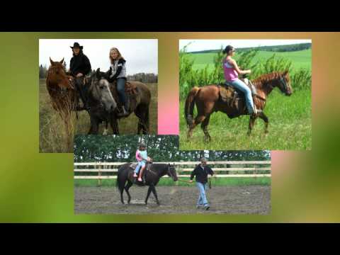 Welcome to Spiritwood & Area