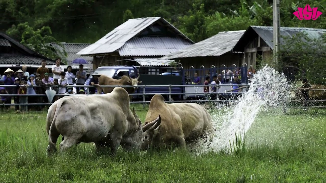 Mùa Xuân - dừng chân nơi Mường Típ