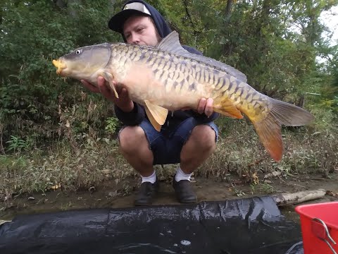2021 Carp Fishing