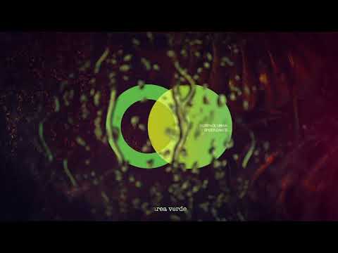 Redspace, UNWA - Spider Dance (Original Mix) // Area Verde