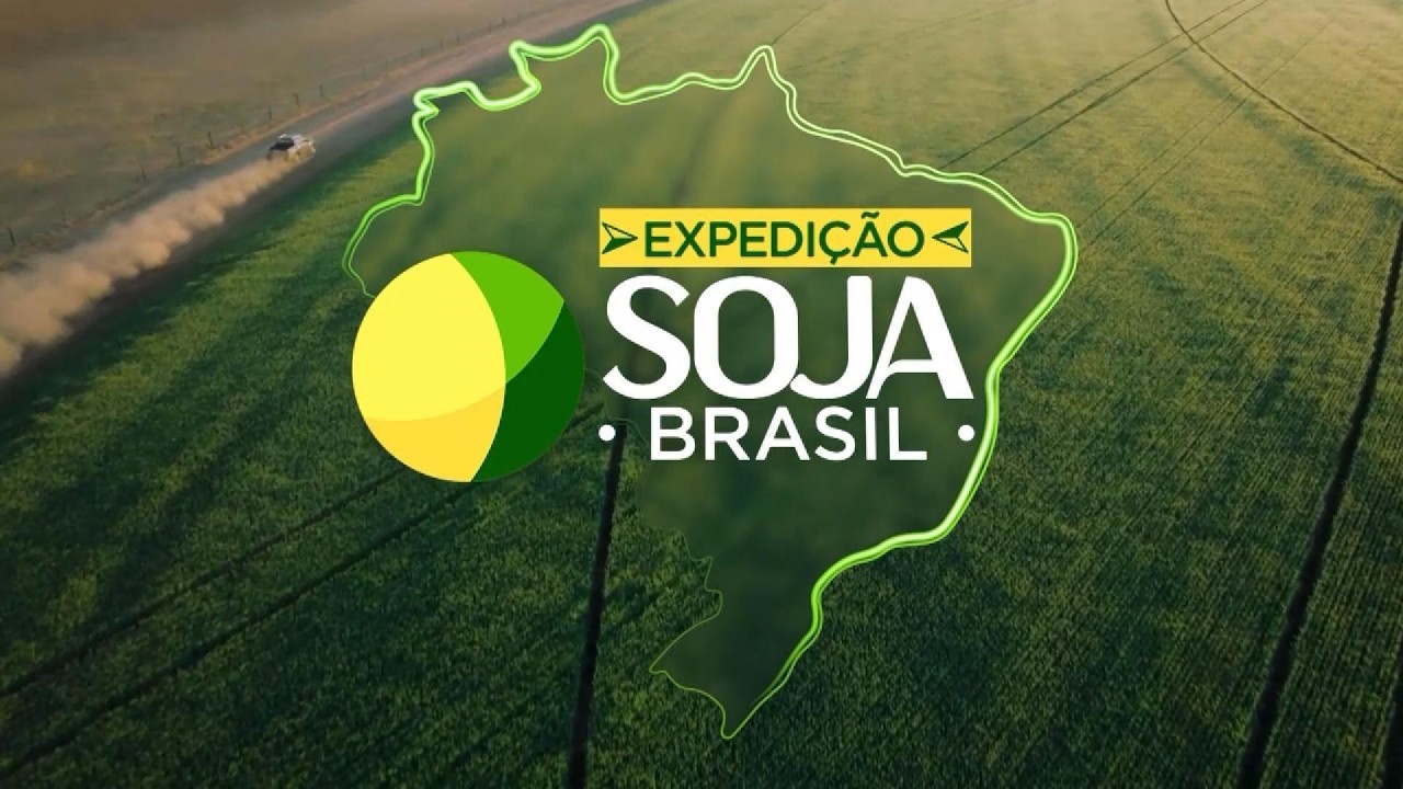 A ferrovia contribui para o escoamento de safra em MT
