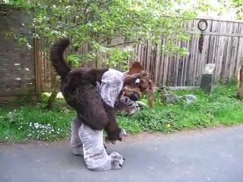 Rowsby Wags His Tail