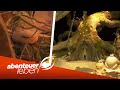 Von Der Leinwand Ins Leben Arthur Und Die Minimoys Im Europapark Abenteuer Leben