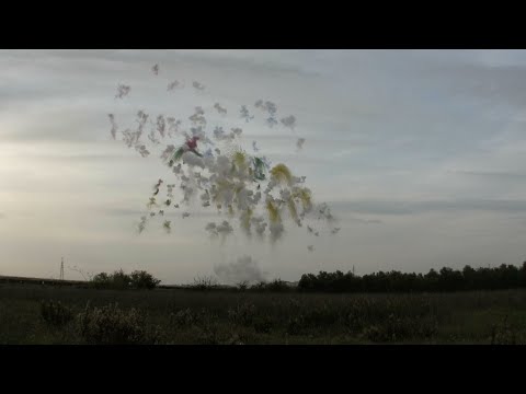 ADELFIA MONTRONE 2022 🇮🇹 | San TRIFONE MARTIRE - PIROTECNICA F.lli PANNELLA