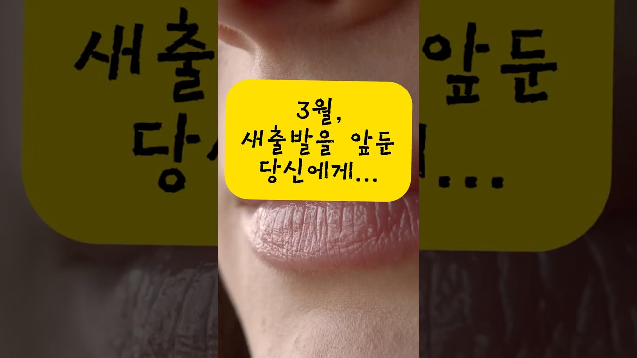 3월, 새출발을 앞둔 당신께.. 🌱