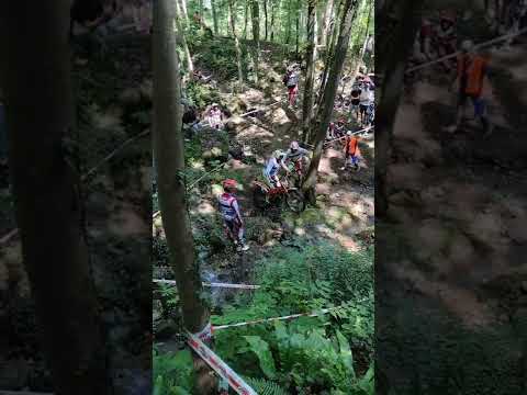 trofeo trial nord est, Torrebelvicino