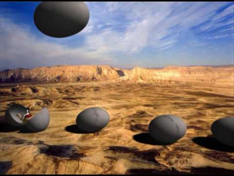 Minimal Compact  Orcha bamidbar video by maya amiel