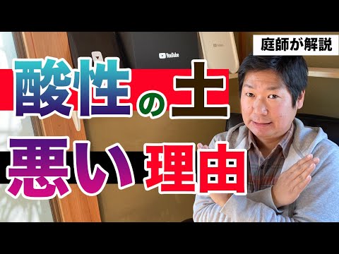 いつ、どのように庭に石灰を加えるのですか？どの植物が最も恩恵を受けるでしょうか?またその理由は何ですか?  庭園