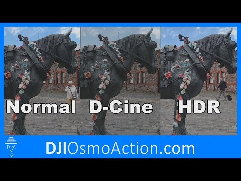 DJI Osmo Action HDR vs D-Cinelike vs Normal - Gamma Response & Dynamic Range Test