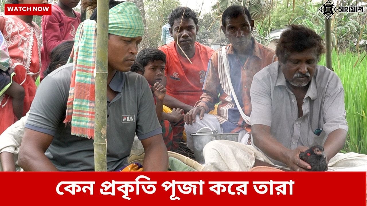 কেন প্রকৃতি পূজা করেন তারা