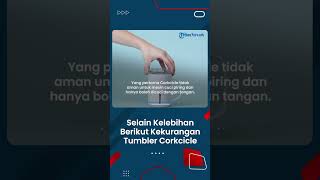 Tumbler Viral, dari Sekian Banyak Kelebihan, Berikut Kekurangan Tumbler Corkcicle