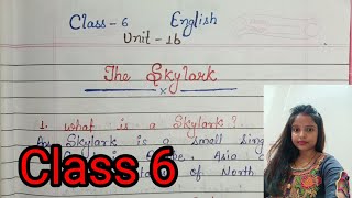 Jcert Class 6 English Unit 1b// The Skylark ( All Question Answer)