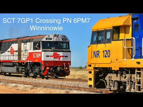SCT 7GP1 crosses PN 6PM7 at Winninowie