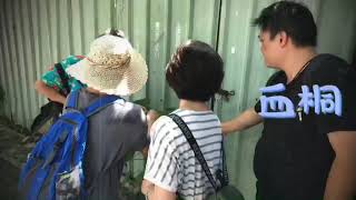 ＜新課程＞小南門的華麗轉身-結合植物生態美學 預告片縮圖