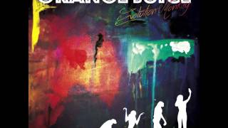 The Orange Juice - Evolution Monkey