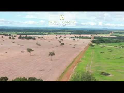 FAZENDA GENERAL CARNEIRO MT