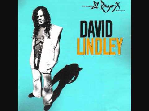 Ain't No Way - David Lindley/El Rayo-X