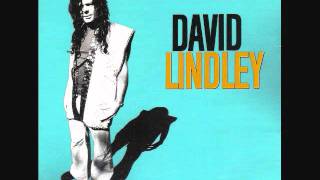 Ain&#39;t No Way - David Lindley/El Rayo-X