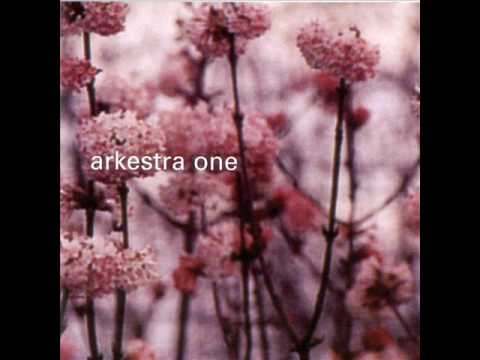 Arkestra One - Skydiving