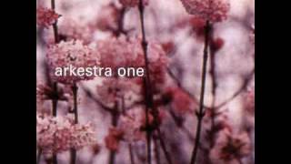 Arkestra One - Skydiving