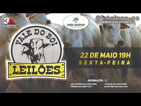 VALE DO BOI LEILOES - INHUMAS GO  - LEILAO VIRTUAL E PRESENCIAL -  22  DE  MAIO 2026