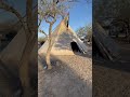 I spent 10hrs with 28 Native Americans inside a TeePee in Starr County