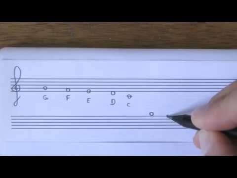 The0101 - Das Notensystem - German Bass Lesson Tutorial