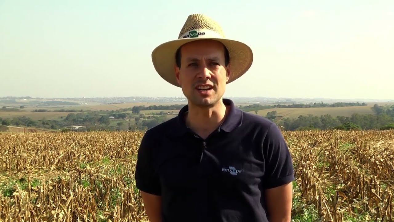 003 Época de amostragem - DRES