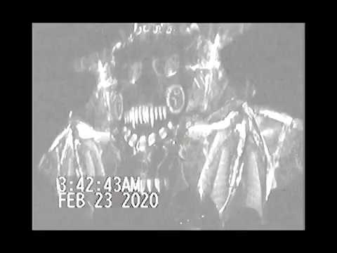 Hesed (Live), Aluna Ritual - Kogi Stage