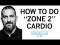 How Why To Get Weekly Zone 2 Cardio Workouts Dr Andrew Huberman