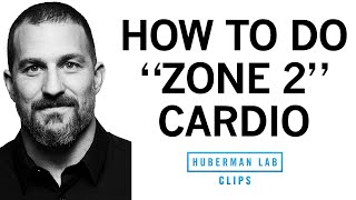 How_&_Why_to_Get_Weekly_"Zone_2"_Cardio_Workouts_|_Dr._Andrew_Huberman