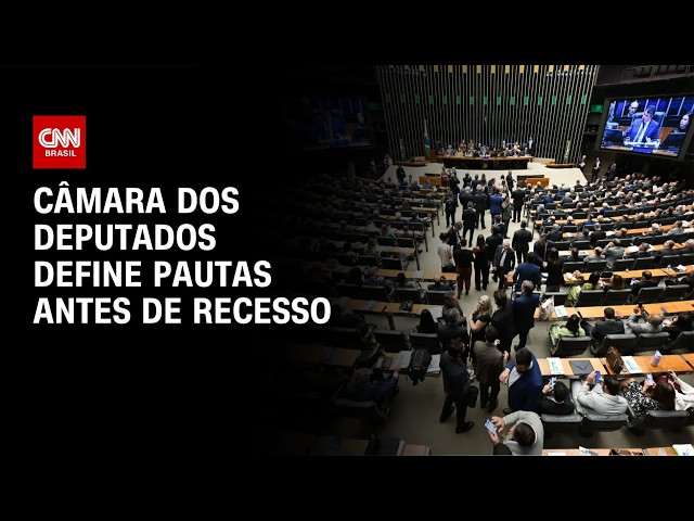 Quais serão as pautas prioritárias da Câmara dos Deputados antes do recesso? | CNN NOVO DIA